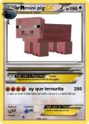 mini pig