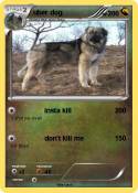 uber dog