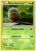Pygmy Marmoset