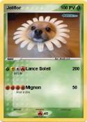 Joliflor