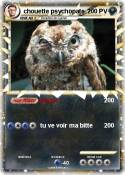 chouette psycho