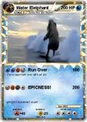 Water Elelphant