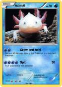Axolotl