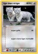  tigre blanc et