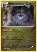 kitty