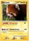 Red panda