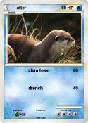 otter