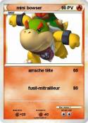 mini bowser