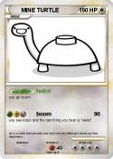 MINE TURTLE