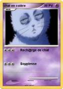 chat en colère