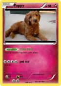 Puppy