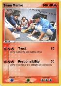 Team Mentor