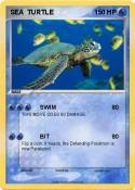SEA TURTLE