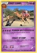 CRAZY CAMEL