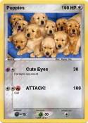 Puppies