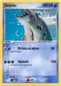 Dolphin
