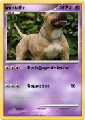 am'staffie