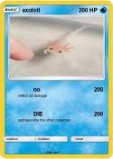 axolotl