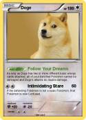 Doge