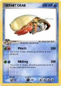 HERMIT CRAB