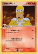 homer niv xxl