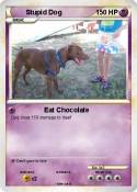 Stupid Dog
