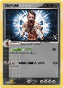 CM PUNK