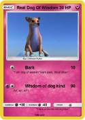 Real Dog Of