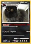 Minou hibou