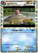big fish lvx