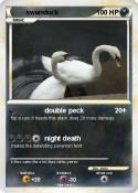 swanduck