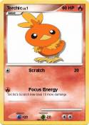 Torchic