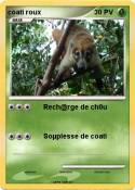 coati roux