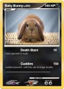 Baby Bunny