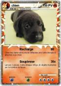 chien