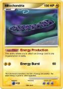 Mitochondria