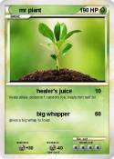 mr plant