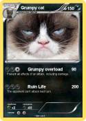 Grumpy cat