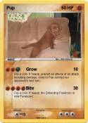 Pup