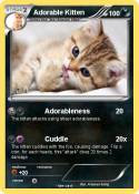 Adorable Kitten