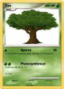 Tree