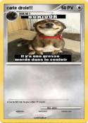carte drole!!!