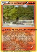 NL 11 K COLLECT