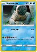 igwana pug