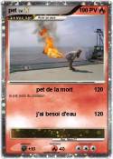 pet