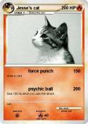 Jesse's cat