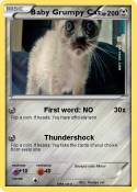 Baby Grumpy Cat