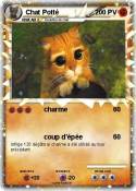 Chat Potté