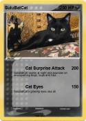 SuluBatCat