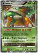 Torterra